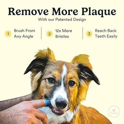360º Finger Brushes: The Key to Complete Pet Dental Hygiene!