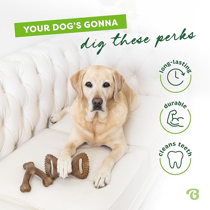 4-Pack Benebones: Ultimate Durability & Fun for Super Chewers!