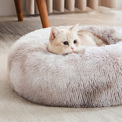 Personalized Pet Beds: Ultimate Comfort & Well-Being for Your Best Friend!