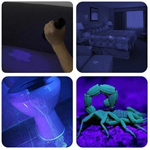 Vansky UV Flashlight: Your Secret Weapon for a Spotless, Odor-Free Home!