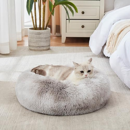 Personalized Pet Beds: Ultimate Comfort & Well-Being for Your Best Friend!