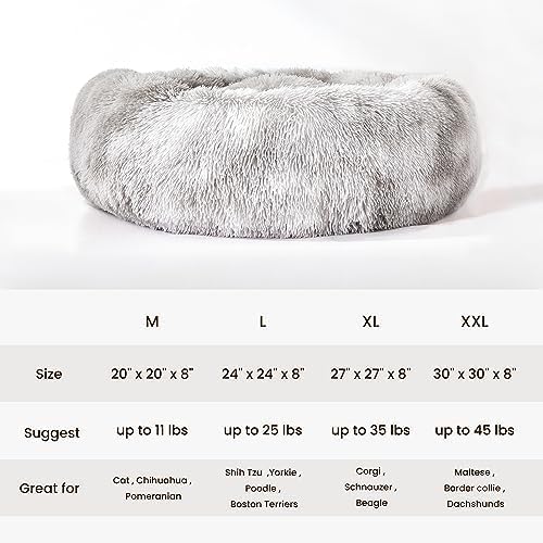Personalized Pet Beds: Ultimate Comfort & Well-Being for Your Best Friend!
