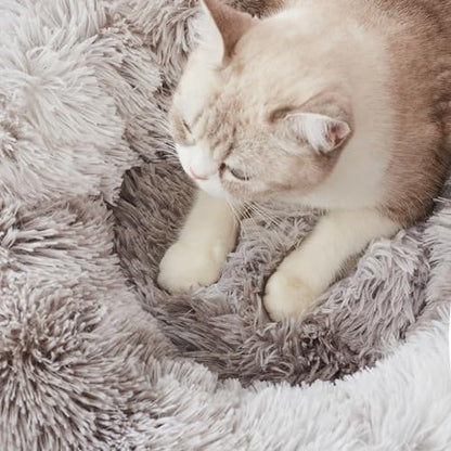Personalized Pet Beds: Ultimate Comfort & Well-Being for Your Best Friend!