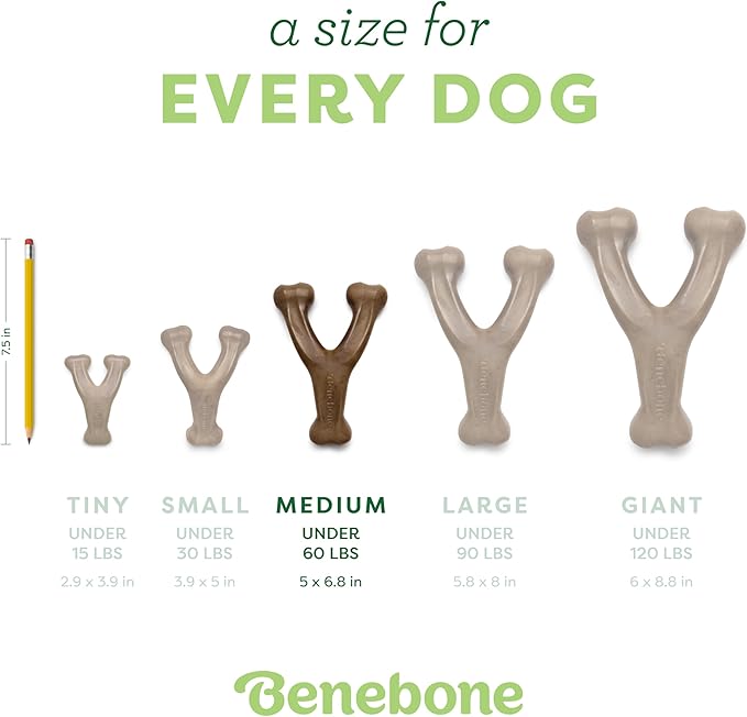 Benebone Wishbone: Indestructible Dog Bone with Real Bacon Flavor!