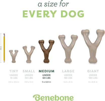 Benebone Wishbone: Indestructible Dog Bone with Real Bacon Flavor!