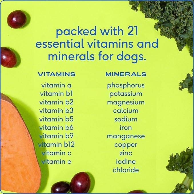 Powdered Multivitamin for Dogs: Boost Immunity & Total Well-Being!