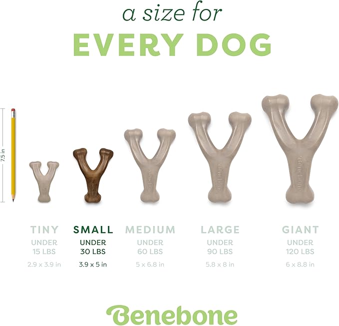 Benebone Wishbone: Indestructible Dog Bone with Real Bacon Flavor!