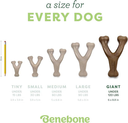 Benebone Wishbone: Indestructible Dog Bone with Real Bacon Flavor!