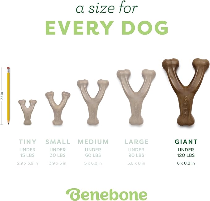 Benebone Wishbone: Indestructible Dog Bone with Real Bacon Flavor!