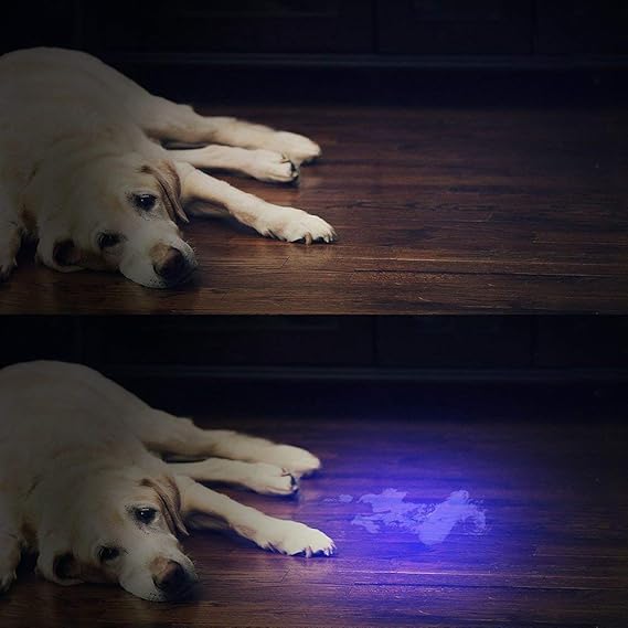 Vansky UV Flashlight: Your Secret Weapon for a Spotless, Odor-Free Home!