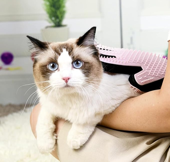 Pet Grooming Gloves: Love, Cleanliness & Well-being in Every Stroke!