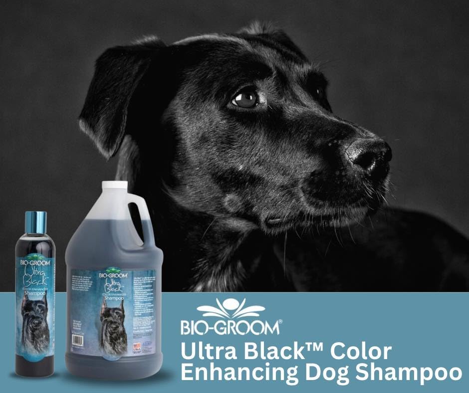 Bio-Groom Natural Shampoo: Intense Shine & Deep Color for Dark Coats!