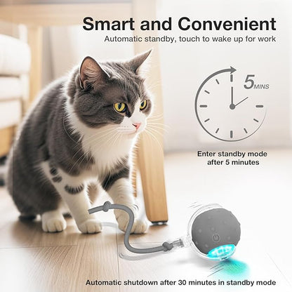 YoPoll Interactive Cat Ball: Unleash Their Inner Hunter with Autonomous Fun!