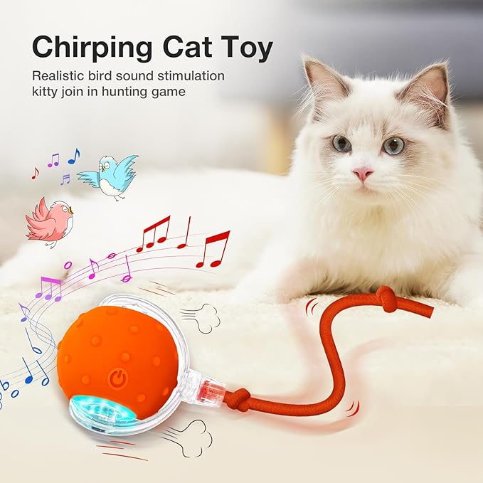 YoPoll Interactive Cat Ball: Unleash Their Inner Hunter with Autonomous Fun!