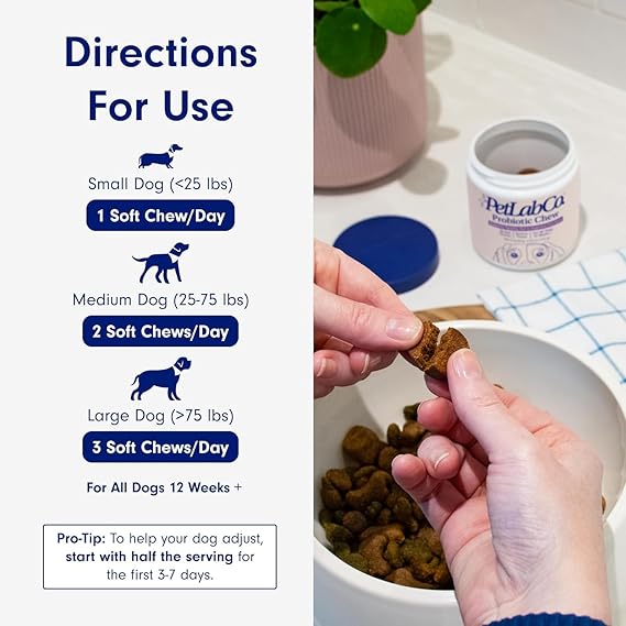 Chewable Probiotics for Dogs: Allergy, Digestion & Immune Support!