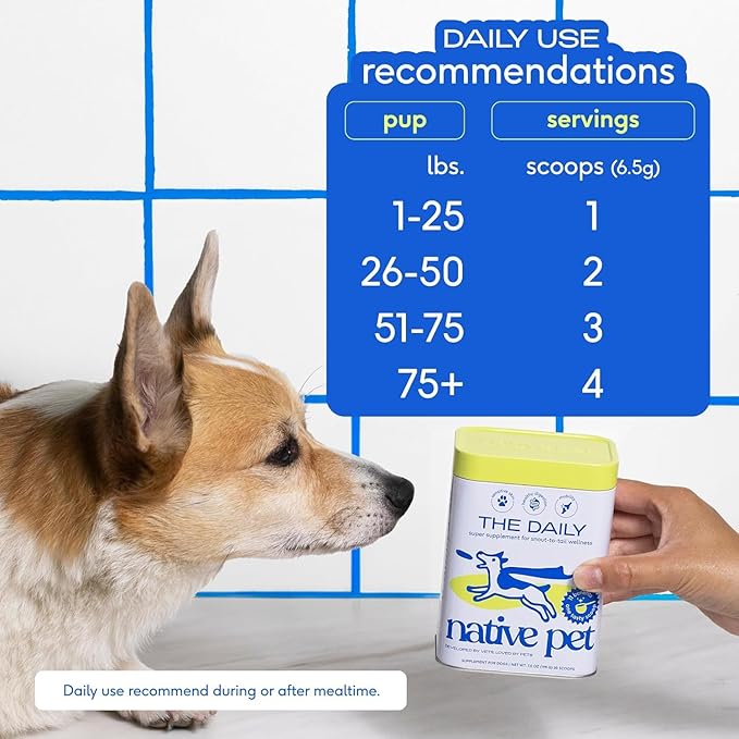 Powdered Multivitamin for Dogs: Boost Immunity & Total Well-Being!