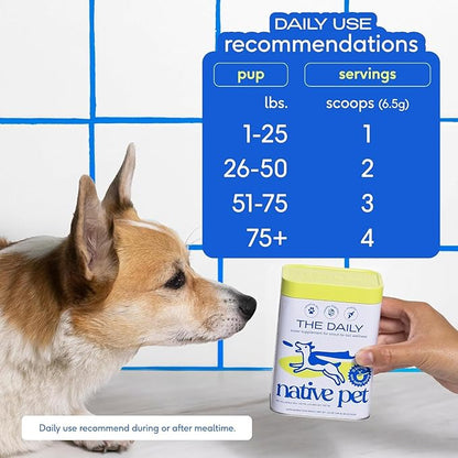 Powdered Multivitamin for Dogs: Boost Immunity & Total Well-Being!