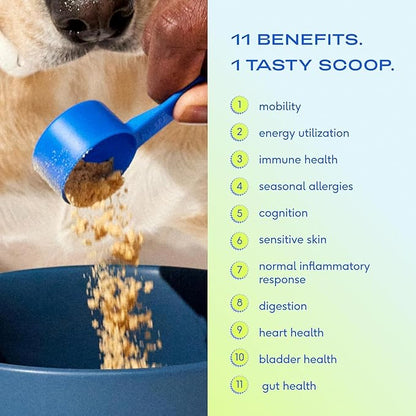 Powdered Multivitamin for Dogs: Boost Immunity & Total Well-Being!