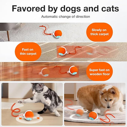 YoPoll Interactive Cat Ball: Unleash Their Inner Hunter with Autonomous Fun!