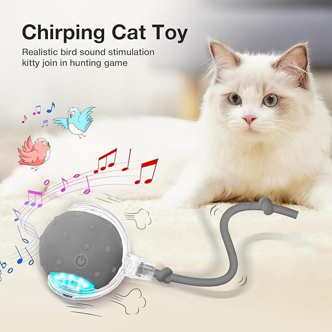 YoPoll Interactive Cat Ball: Unleash Their Inner Hunter with Autonomous Fun!