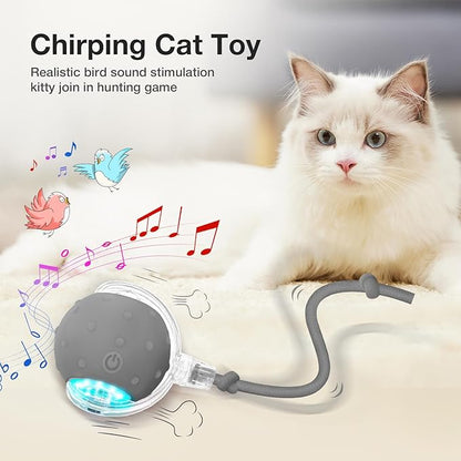 YoPoll Interactive Cat Ball: Unleash Their Inner Hunter with Autonomous Fun!