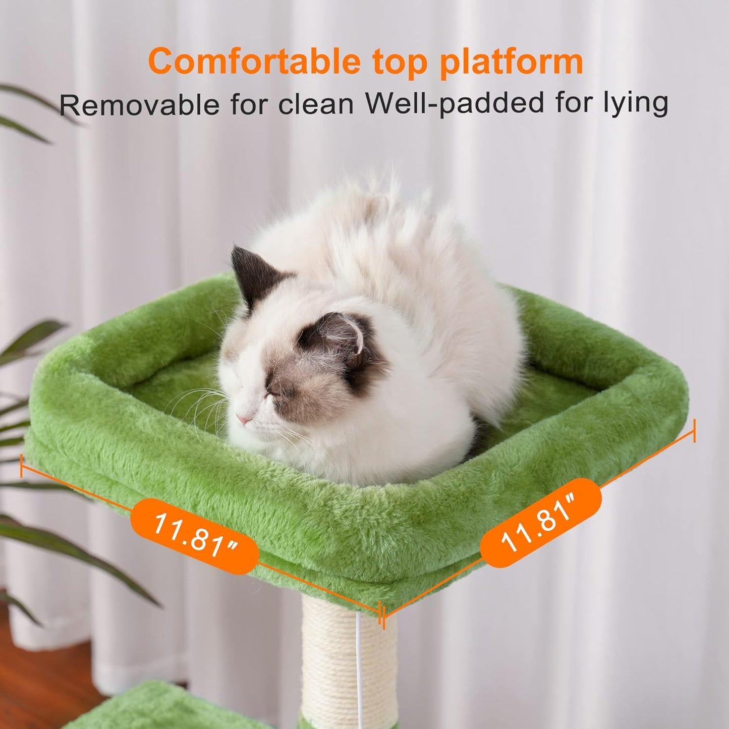 Complete Cat Scratching Tree: Adventure, Comfort & Endless Fun!