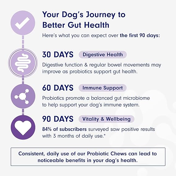 Chewable Probiotics for Dogs: Allergy, Digestion & Immune Support!