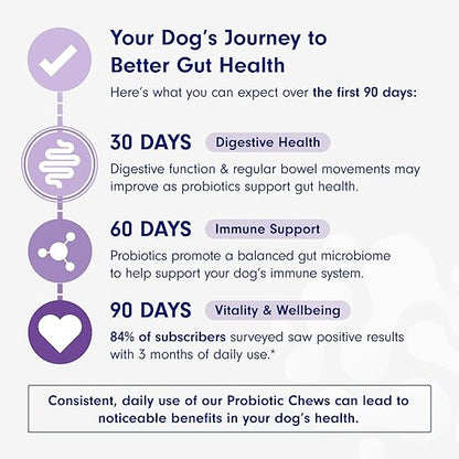 Chewable Probiotics for Dogs: Allergy, Digestion & Immune Support!