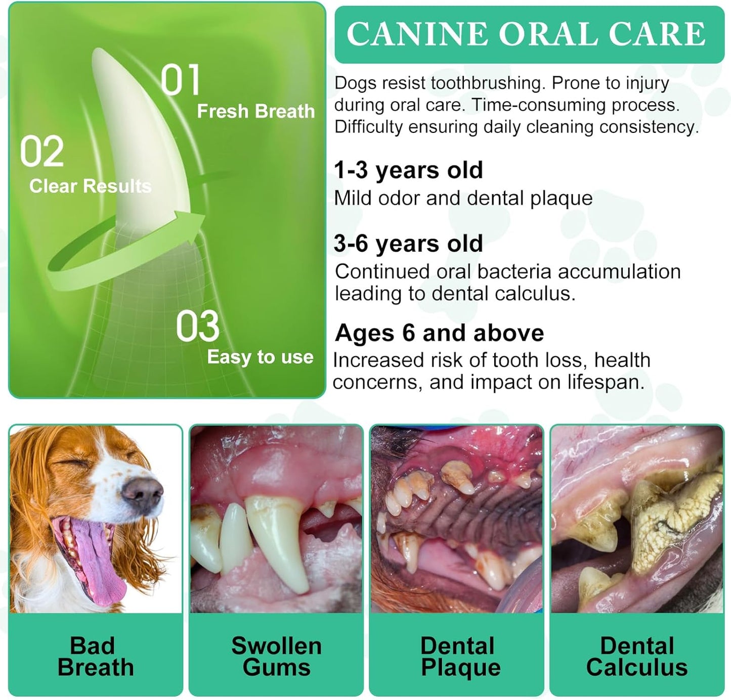 Probiotic Dental Powder: Natural Oral Care for Dogs & Cats!