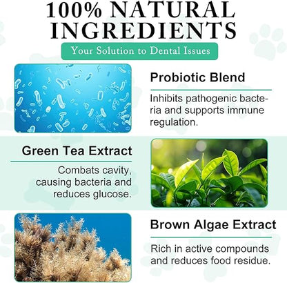 Probiotic Dental Powder: Natural Oral Care for Dogs & Cats!