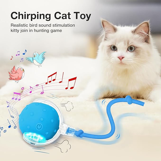YoPoll Interactive Cat Ball: Unleash Their Inner Hunter with Autonomous Fun!