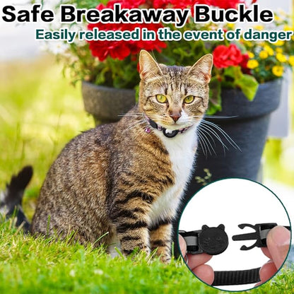 Reflective Cat Collar with AirTag Holder: Track & Protect Your Feline Friend!
