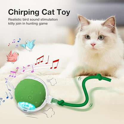 YoPoll Interactive Cat Ball: Unleash Their Inner Hunter with Autonomous Fun!
