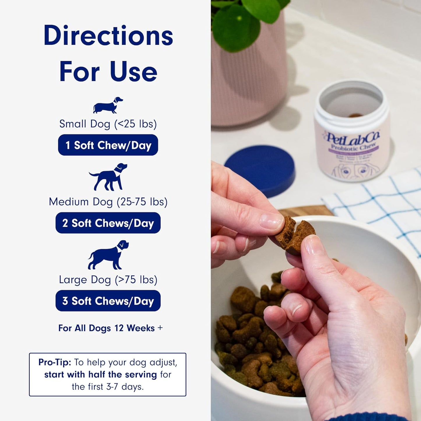 Chewable Probiotics for Dogs: Allergy, Digestion & Immune Support!