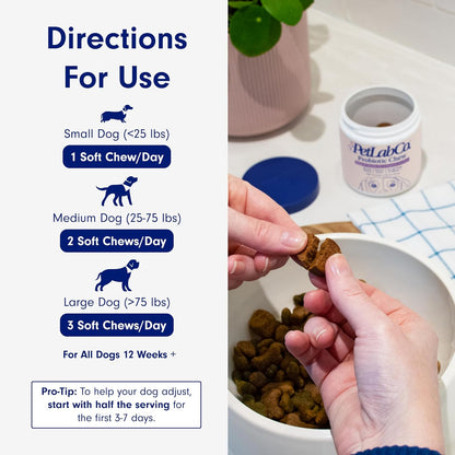 Chewable Probiotics for Dogs: Allergy, Digestion & Immune Support!
