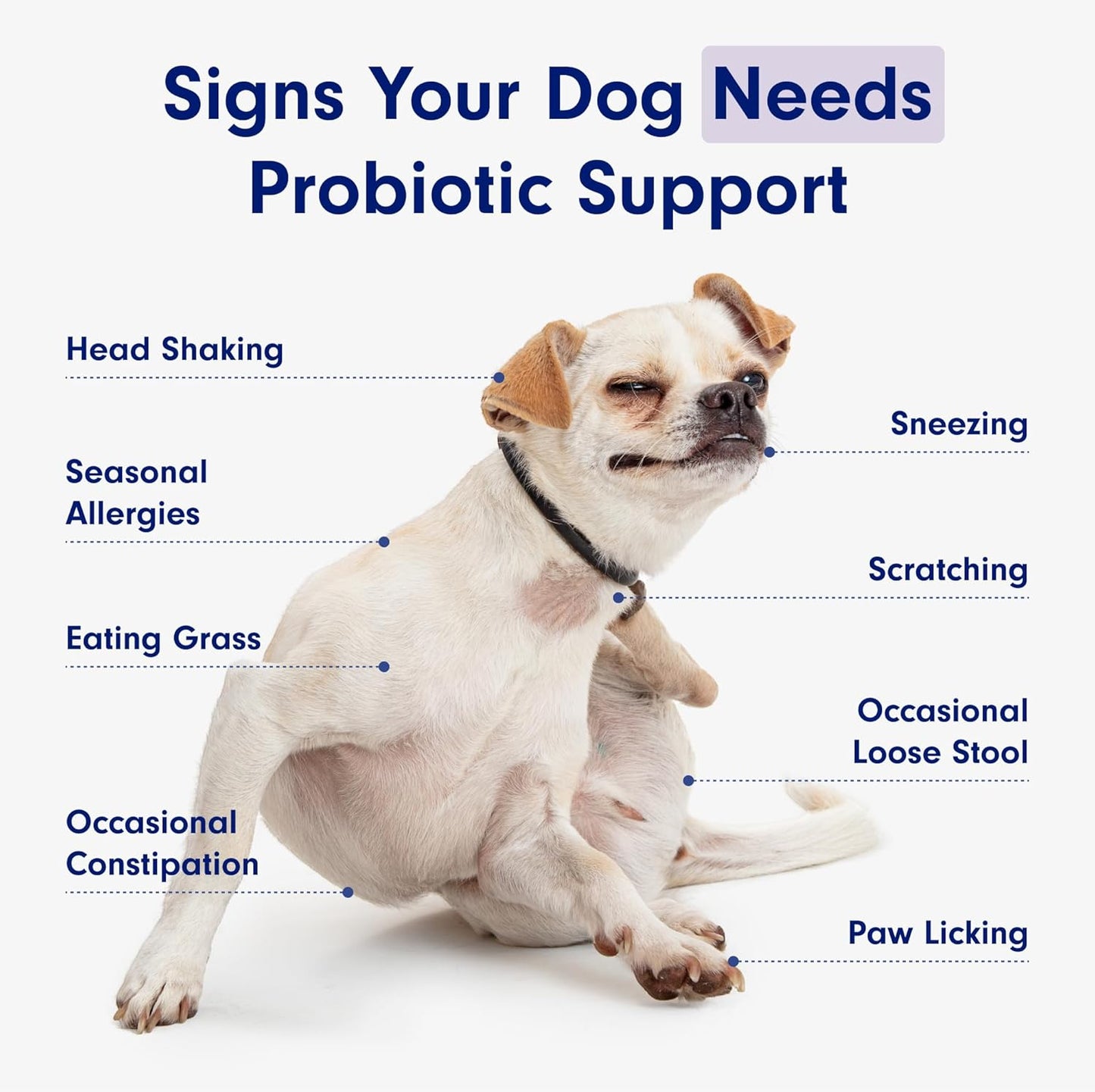 Chewable Probiotics for Dogs: Allergy, Digestion & Immune Support!