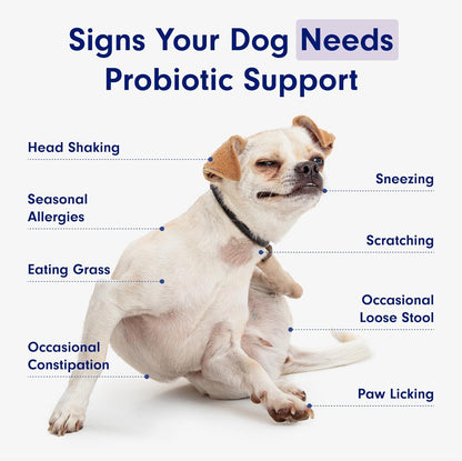 Chewable Probiotics for Dogs: Allergy, Digestion & Immune Support!