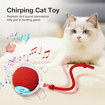 YoPoll Interactive Cat Ball: Unleash Their Inner Hunter with Autonomous Fun!