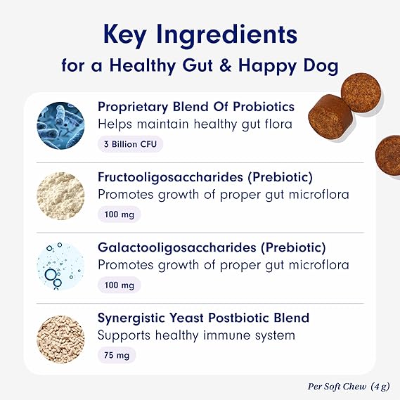 Chewable Probiotics for Dogs: Allergy, Digestion & Immune Support!