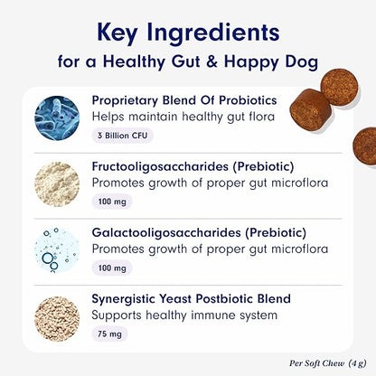 Chewable Probiotics for Dogs: Allergy, Digestion & Immune Support!
