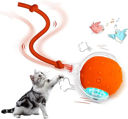 YoPoll Interactive Cat Ball: Unleash Their Inner Hunter with Autonomous Fun!