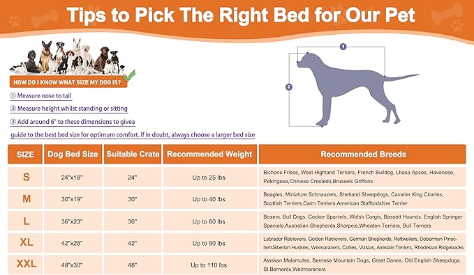 Premium Pink Velvet Pet Bed: Ultimate Support, Comfort & Style!