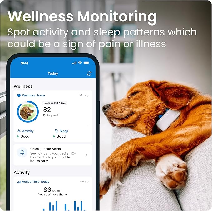 Tractive GPS Tracker: Live Tracking, Virtual Fences & Activity Monitoring!