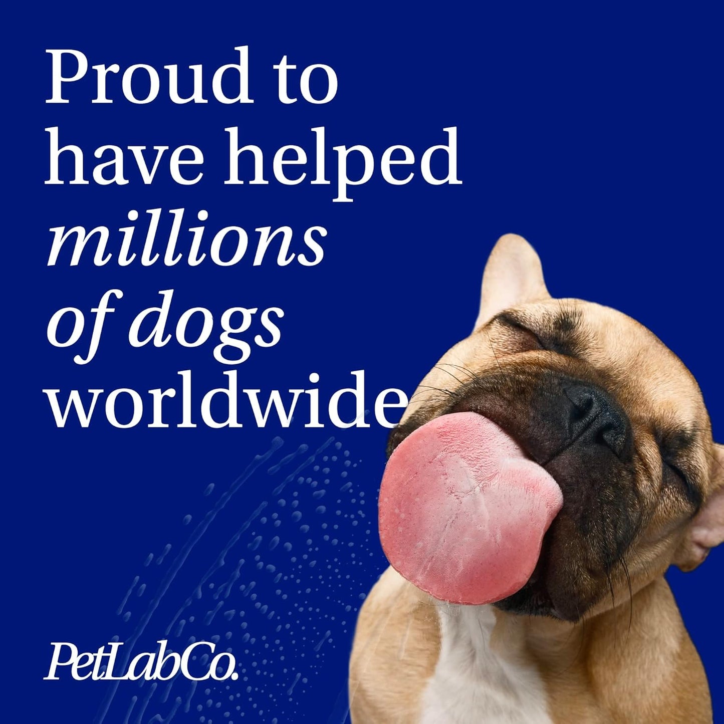 Chewable Probiotics for Dogs: Allergy, Digestion & Immune Support!