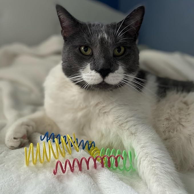 Colorful Cat Spring Toys: Unleash Their Inner Hunter!