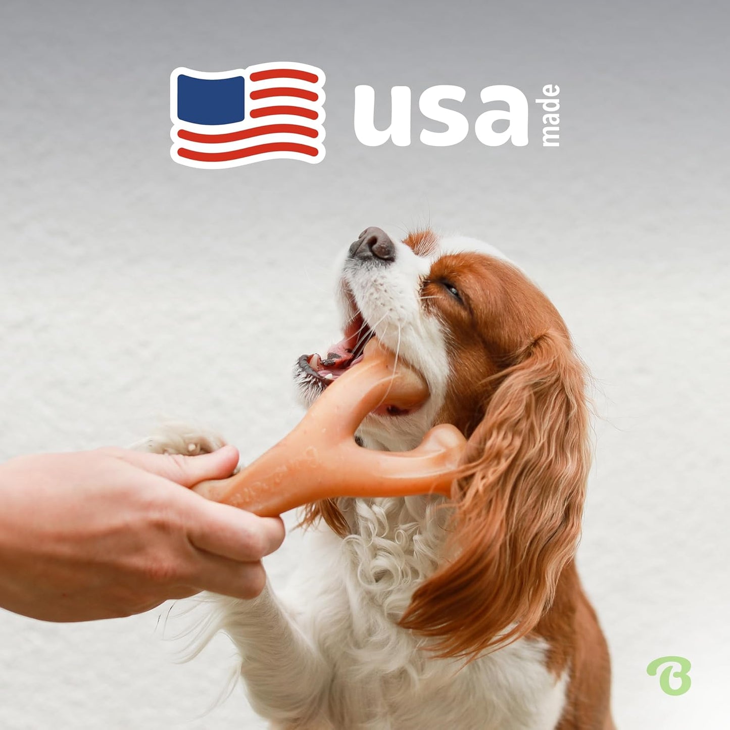 Benebone Wishbone: Indestructible Dog Bone with Real Bacon Flavor!