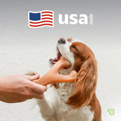 Benebone Wishbone: Indestructible Dog Bone with Real Bacon Flavor!