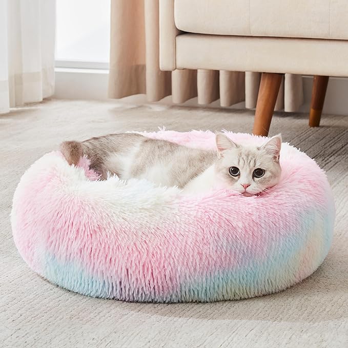 Personalized Pet Beds: Ultimate Comfort & Well-Being for Your Best Friend!
