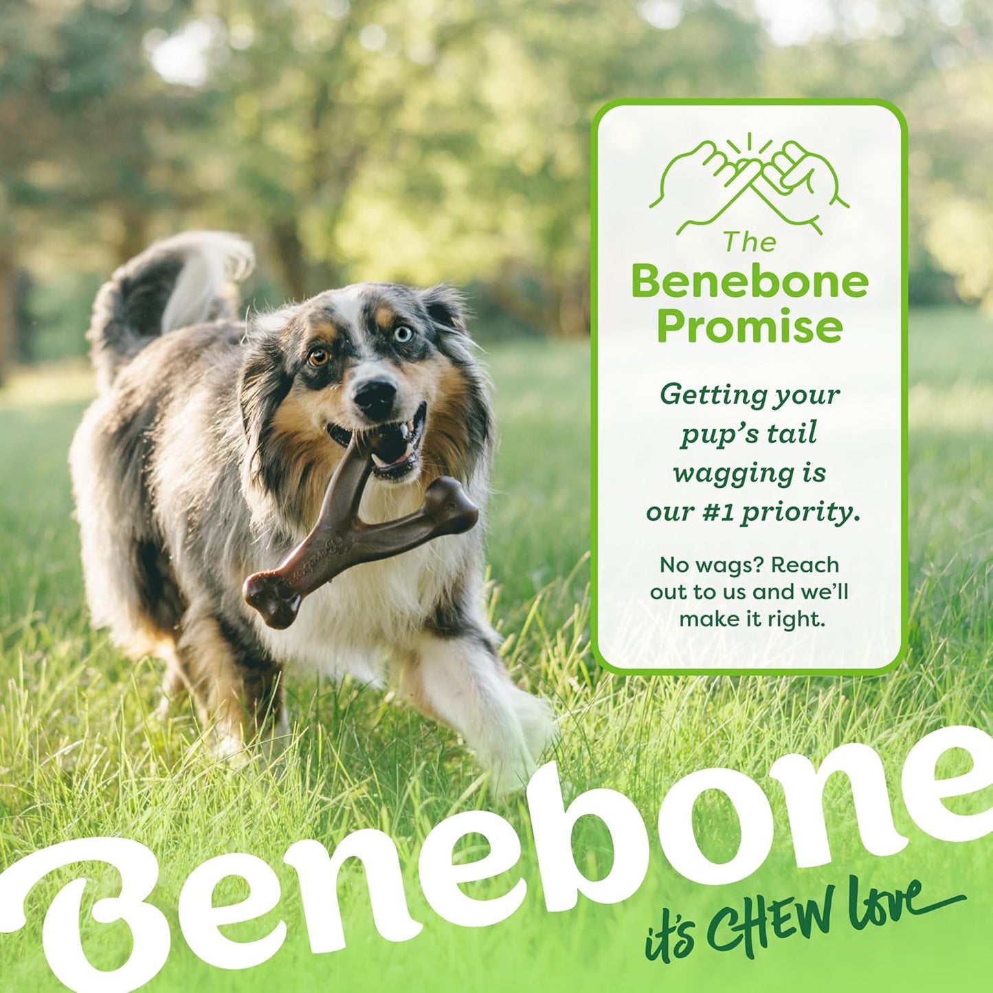Benebone Wishbone: Indestructible Dog Bone with Real Bacon Flavor!