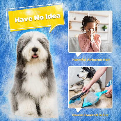 Delomo Grooming Gloves: Relaxing Massage & Effective De-Shedding!